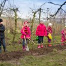 2015-kinderbaeume-45