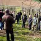 2015-winterschnittkurs-22