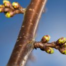 2015-winterschnittkurs-30