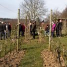 2015-winterschnittkurs-47