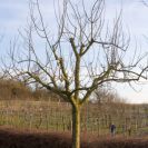 2015-winterschnittkurs-51