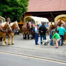 2017-Vogelsberg-016