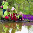 2015-bluetenfest-15