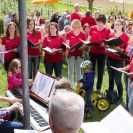 2015-bluetenfest-49