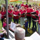 2015-bluetenfest-50