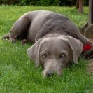 2018-Bluetenfest-018