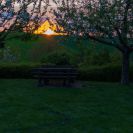 2018-Bluetenfest-019