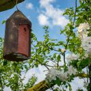 2018-Bluetenfest-027