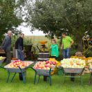 2014-kelterfest-6