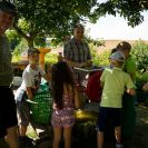 2016-kelterfest-012