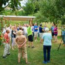 2015-sommerschnitt-1