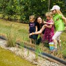 2015-sommerschnitt-10