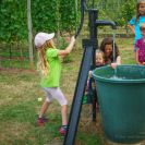 2015-sommerschnitt-12