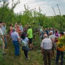 2015-sommerschnitt-14