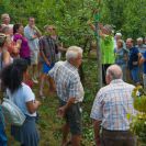 2015-sommerschnitt-15
