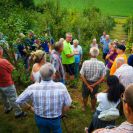 2015-sommerschnitt-20