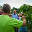 2015-sommerschnitt-22