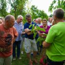 2015-sommerschnitt-23