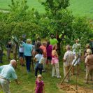2015-sommerschnitt-24
