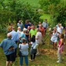 2015-sommerschnitt-25