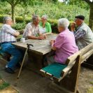 2015-sommerschnitt-29