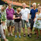 2015-sommerschnitt-4