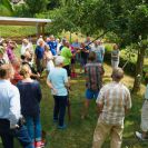 2015-sommerschnitt-8