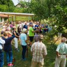 2015-sommerschnitt-9